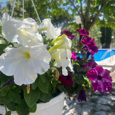Tatil Evi Casa Bianca